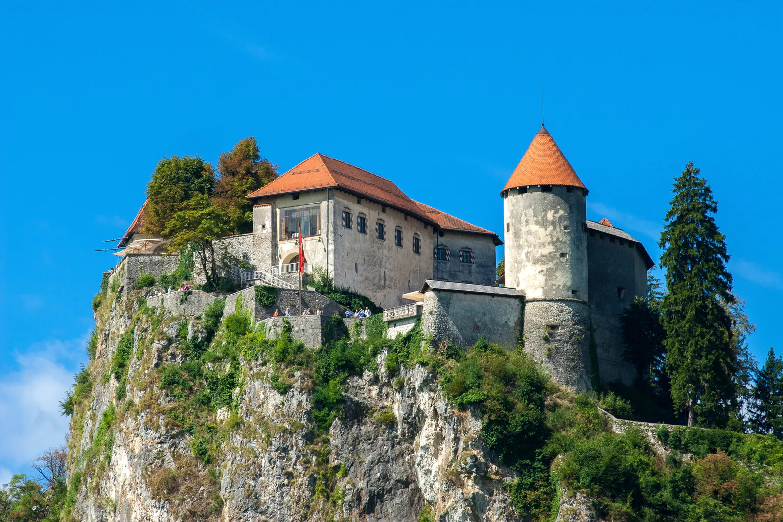 Blejski grad na skali
