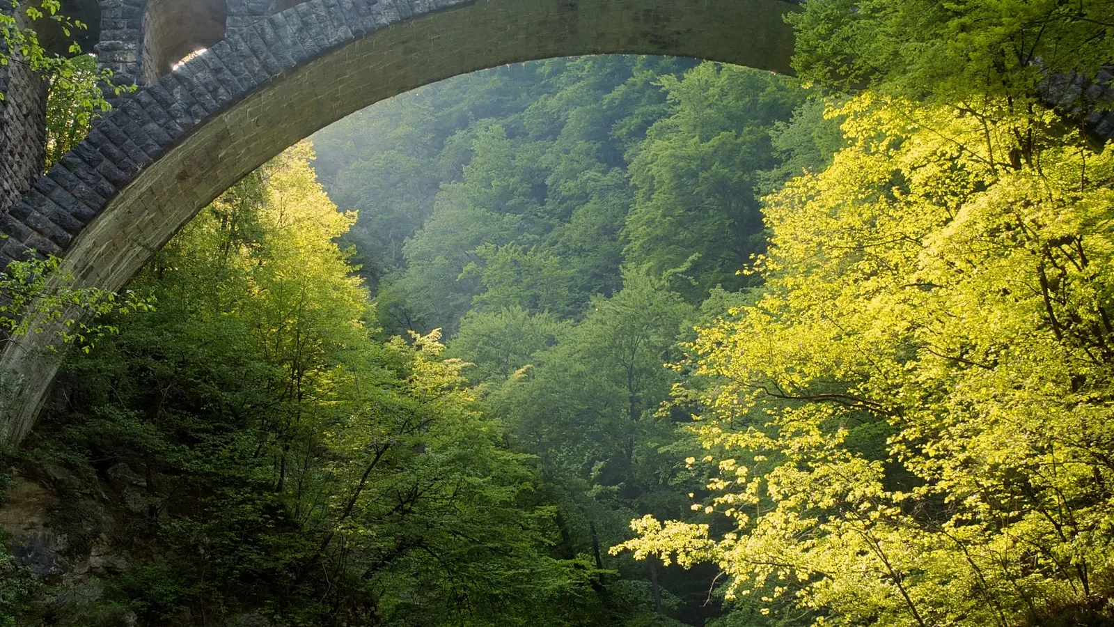 Vintgarska soteska