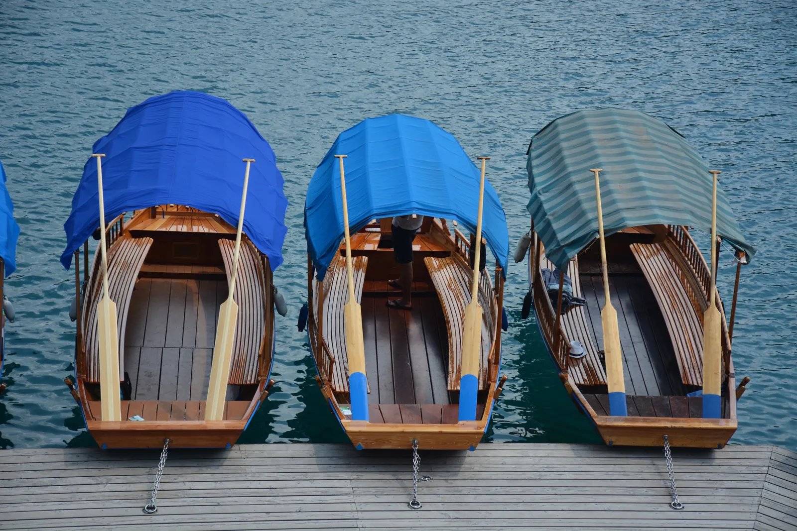 Blejski otok
