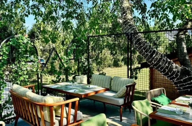 Vrtna terasa restavracije Al Fresco na Bledu pod veliko drevesno krošnjo z zelenimi stoli
